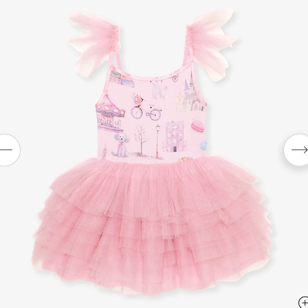 Posh Peanut Posh Paris tulle dress